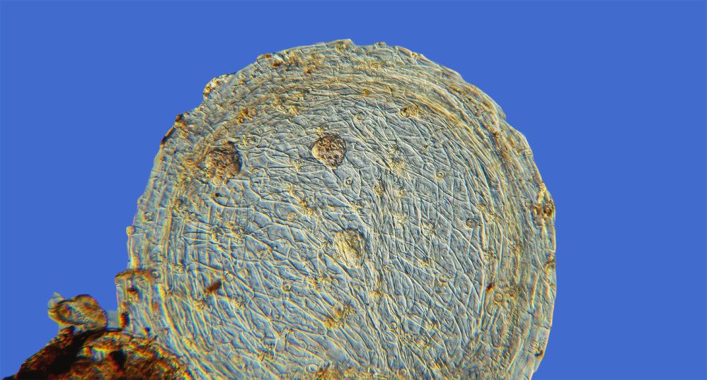 16-08-13_025022_mb_r12_s422_mod