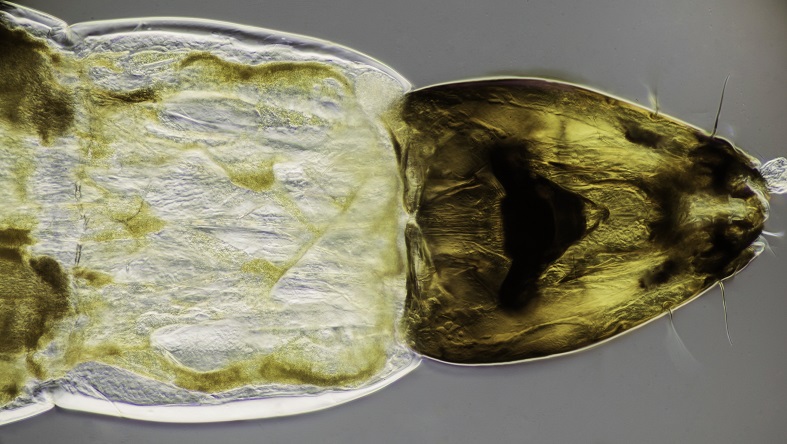 16-09-17_152554_mb_r12_s42