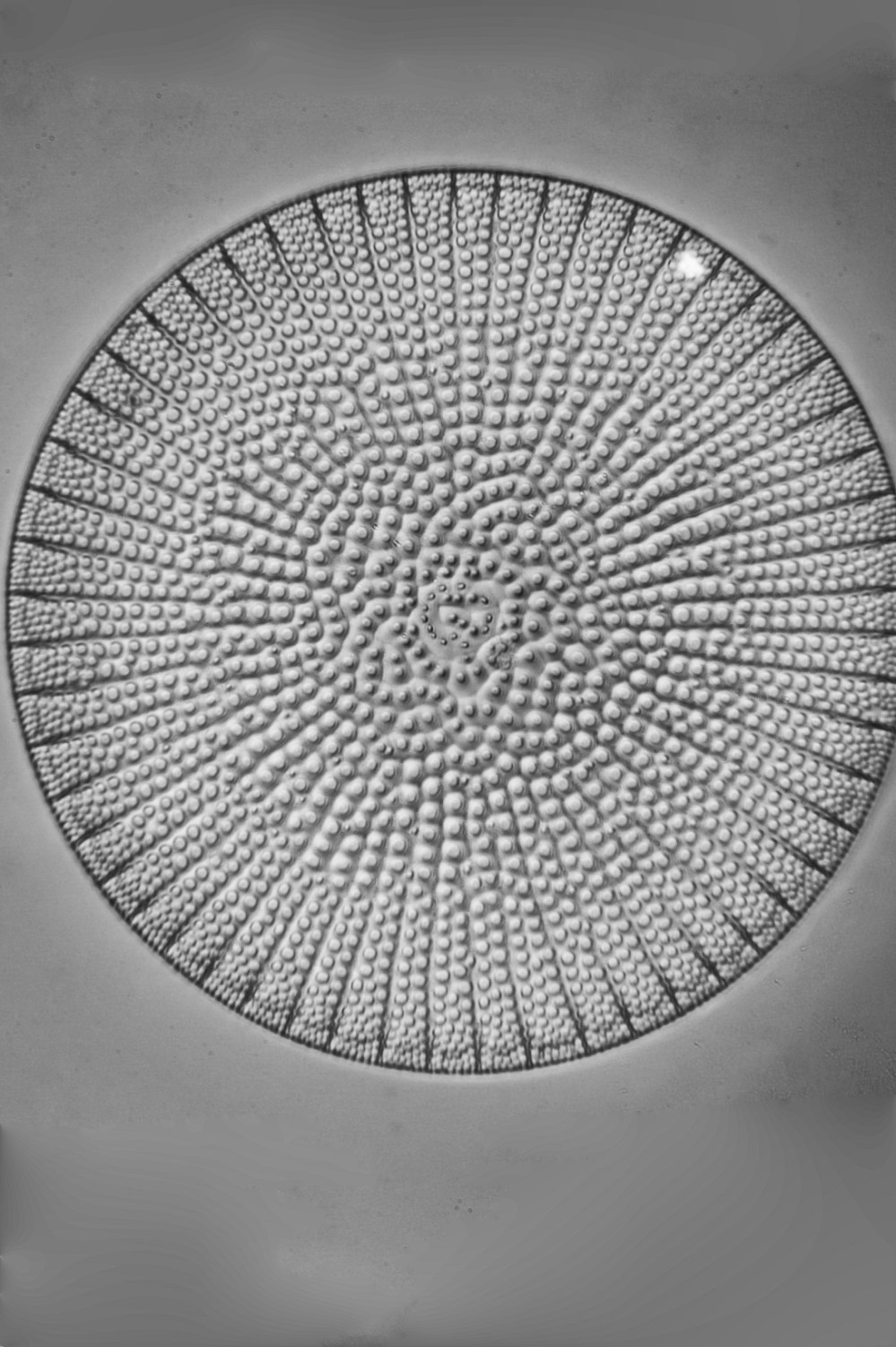 16-11-15_220438_mb_r8_s4nx23