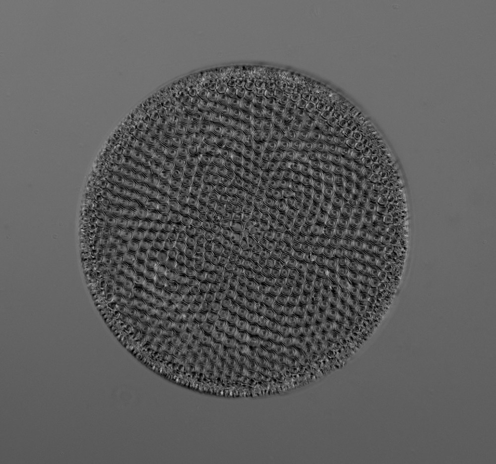 result-of-img_2904751492