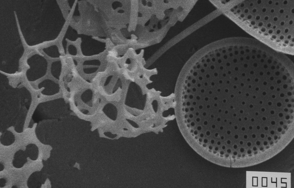 29063952_2089549401277245_64793735586954880_o