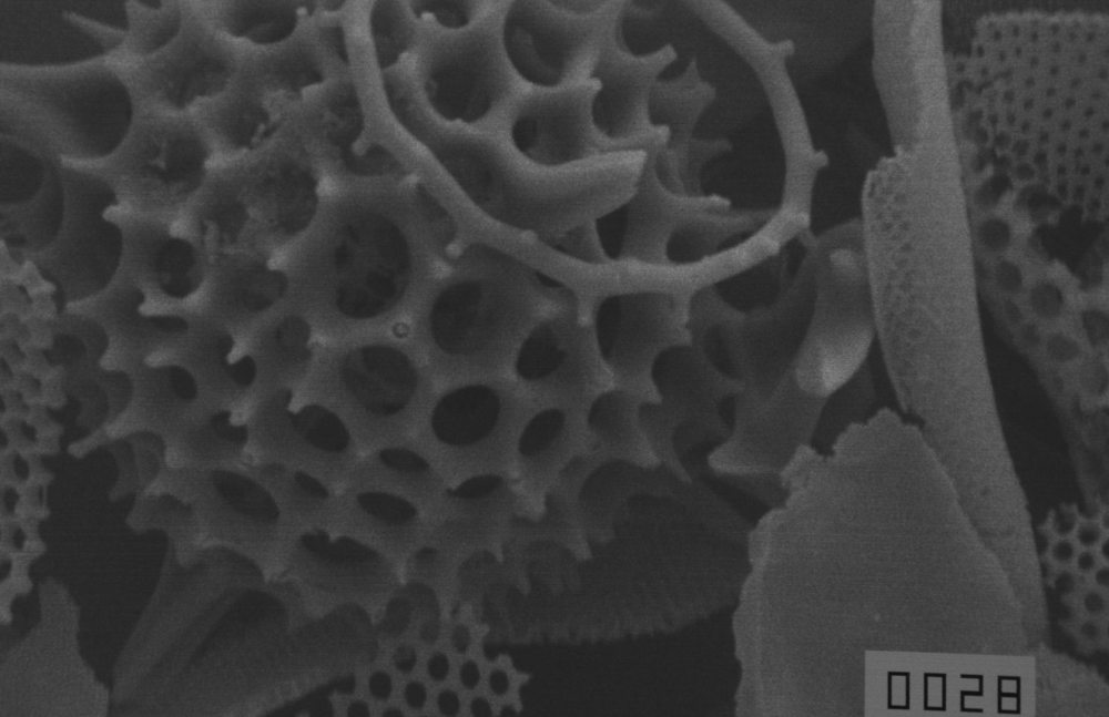 29064451_2089548484610670_7563818961625265044_o