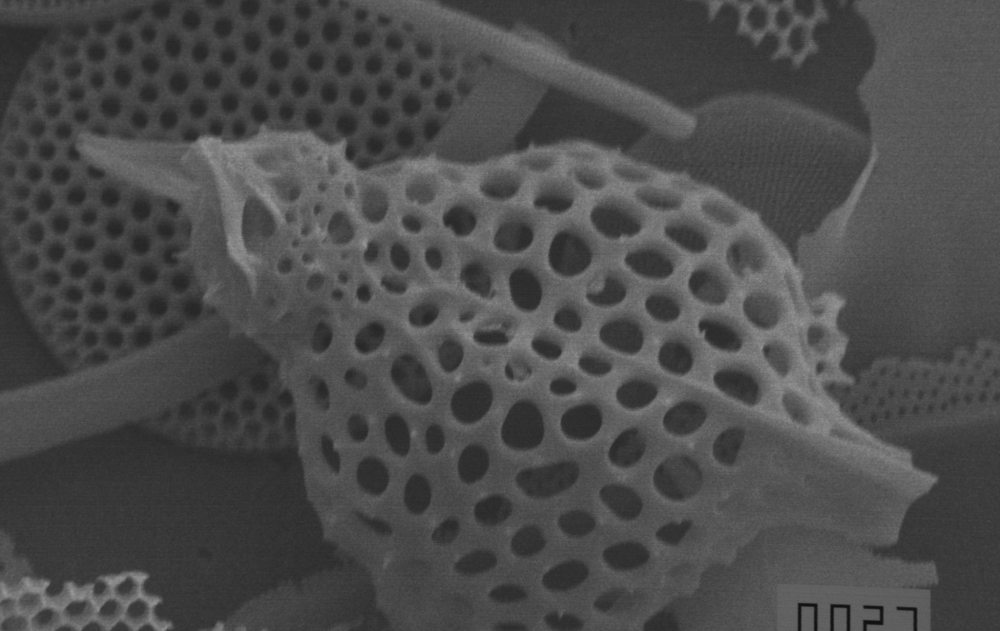 29352012_2089548231277362_8489100233079332772_o