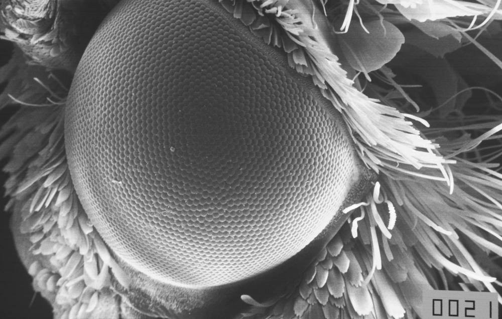 29662642_2089550501277135_2804329573348789173_o