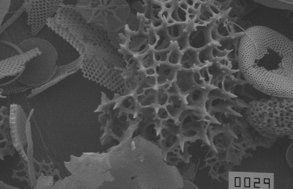 29665017_2089548087944043_2182851586392855356_o