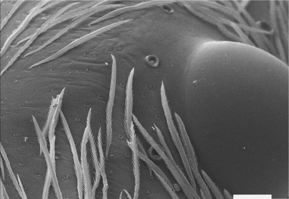 51670532_2310341829198000_4633329969244667904_o