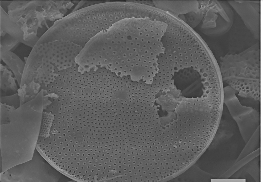 64582203_2401311780101004_5278294393357336576_o