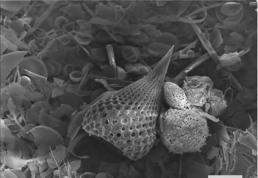 80486412_2560460690852778_4679538379921031168_o