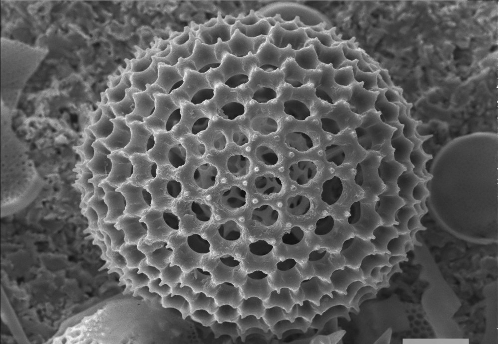 80747066_2559430260955821_2829912126942871552_o